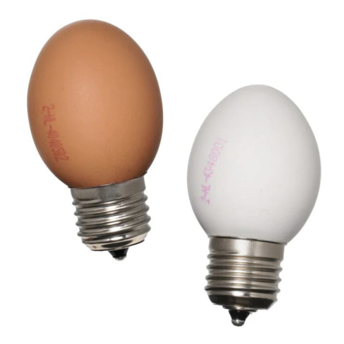 Schermafbeelding 2025 11 21 om 22.02.04