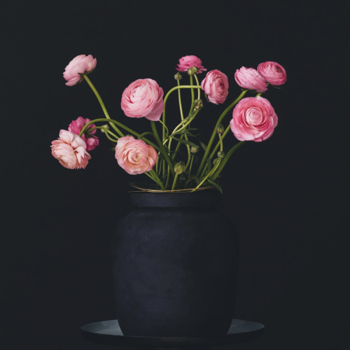 Schermafbeelding 2025 11 21 om 22.21.50